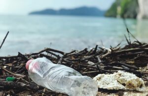 Apa Saja Contoh Isu Lingkungan yang Perlu Kita Pahami Bersama? Apa Saja Contoh Isu Lingkungan yang Perlu Kita Pahami Bersama (Pexel/Catherine Sheila)