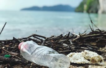 Apa Saja Contoh Isu Lingkungan yang Perlu Kita Pahami Bersama? Apa Saja Contoh Isu Lingkungan yang Perlu Kita Pahami Bersama (Pexel/Catherine Sheila)