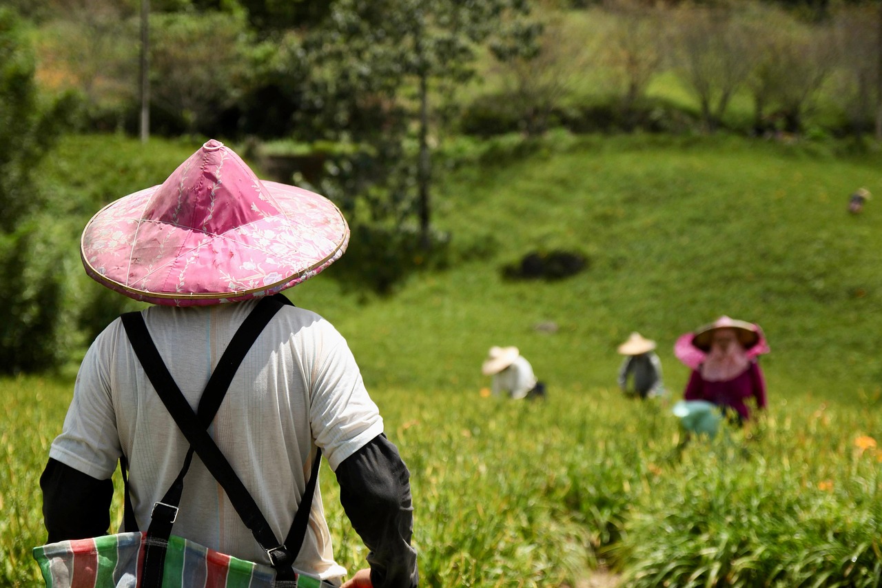 Pertanian Indonesia 2025 Menuju Era Emas Pertanian yang Inovatif dan Berkelanjutan (Pict: Pixabay/pb29) Pertanian Indonesia 2025 Menuju Era Emas Pertanian yang Inovatif dan Berkelanjutan (Pict: Pixabay/pb29)