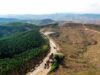 Jumlah Kerusakan Hutan Akibat Tambang di Indonesia Jumlah Kerusakan Hutan Akibat Tambang di Indonesia (Benar News)