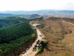 Jumlah Kerusakan Hutan Akibat Tambang di Indonesia Jumlah Kerusakan Hutan Akibat Tambang di Indonesia (Benar News)