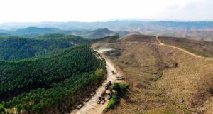 Jumlah Kerusakan Hutan Akibat Tambang di Indonesia Jumlah Kerusakan Hutan Akibat Tambang di Indonesia (Benar News)