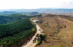 Jumlah Kerusakan Hutan Akibat Tambang di Indonesia Jumlah Kerusakan Hutan Akibat Tambang di Indonesia (Benar News)