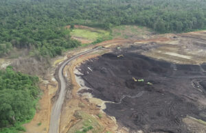 Luasan Tambang vs Hutan di Indonesia? Luasan Tambang vs Hutan di Indonesia (Forest Digest)
