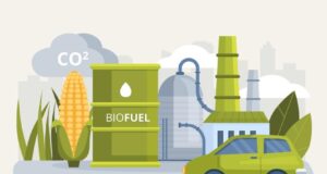 Mendulang Energi dari Biomassa: Peluang Emas untuk Petani Indonesia