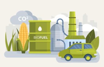 Mendulang Energi dari Biomassa: Peluang Emas untuk Petani Indonesia