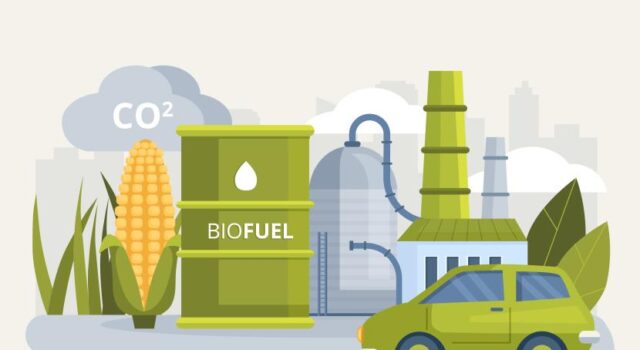 Mendulang Energi dari Biomassa: Peluang Emas untuk Petani Indonesia