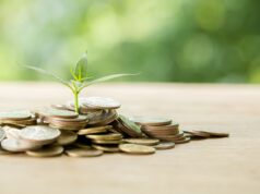 Penguatan Regulasi Ekonomi Hijau Dalam Rangka Mendorong Investasi Global