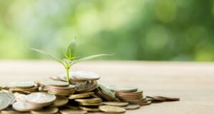 Penguatan Regulasi Ekonomi Hijau Dalam Rangka Mendorong Investasi Global