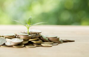 Penguatan Regulasi Ekonomi Hijau Dalam Rangka Mendorong Investasi Global