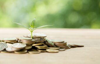 Penguatan Regulasi Ekonomi Hijau Dalam Rangka Mendorong Investasi Global