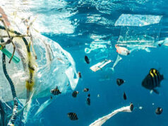 Bahaya Mikroplastik bagi Ekosistem Laut Bahaya Mikroplastik bagi Ekosistem Laut (UN.ORG/UNSPLASH/NAJA BERTOLT JENSEN)