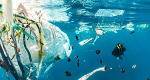 Bahaya Mikroplastik bagi Ekosistem Laut Bahaya Mikroplastik bagi Ekosistem Laut (UN.ORG/UNSPLASH/NAJA BERTOLT JENSEN)