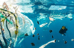 Bahaya Mikroplastik bagi Ekosistem Laut Bahaya Mikroplastik bagi Ekosistem Laut (UN.ORG/UNSPLASH/NAJA BERTOLT JENSEN)