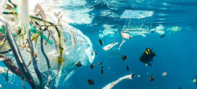 Bahaya Mikroplastik bagi Ekosistem Laut (UN.ORG/UNSPLASH/NAJA BERTOLT JENSEN)