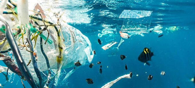 Bahaya Mikroplastik bagi Ekosistem Laut Bahaya Mikroplastik bagi Ekosistem Laut (UN.ORG/UNSPLASH/NAJA BERTOLT JENSEN)