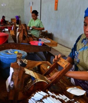 Cukai Hasil Tembakau Urung Dinaikkan, Siapa yang Diuntungkan? Pemerintah urung menaikkan cukai hasil tembakau di tahun 2026. (Sumber: Pusat Studi Kependudukan dan Kebijakan UGM)