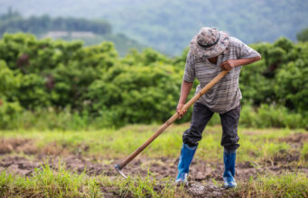 Ekonomi Sirkular dan Pertanian Berkelanjutan Ekonomi sirkular menjadi kunci menuju pertanian berkelanjutan. Kurangi pupuk kimia, manfaatkan sumber daya lokal, dan wujudkan pangan tangguh. (Sumber: Freepik)