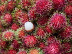 Musim Rambutan Sebentar Lagi, Begini Menurut Profesor IPB Musim rambutan akan segera tiba. (Sumber: Freepik)