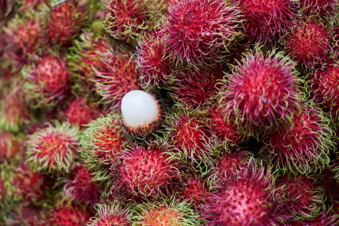 Musim Rambutan Sebentar Lagi, Begini Menurut Profesor IPB Musim rambutan akan segera tiba. (Sumber: Freepik)
