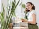 Eco Lifestyle Sebuah Gaya Hidup Hijau di Tengah Kota Menerapkan Eco Lifestyle untuk hidup yang lebih berkelanjutan. (Sumber: Freepik)