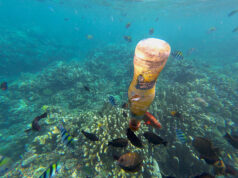 Mikroplastik di Lautan Lebih Banyak dari Bintang di Galaksi Mikroplastik di Lautan Lebih Banyak dari Bintang di Galaksi (Mongabay)