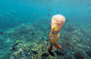 Mikroplastik di Lautan Lebih Banyak dari Bintang di Galaksi Mikroplastik di Lautan Lebih Banyak dari Bintang di Galaksi (Mongabay)