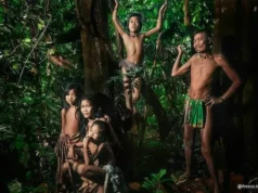 Peran Suku Anak Dalam sebagai Penjaga Hutan Rimba Peran Suku Anak Dalam sebagai Penjaga Hutan (Unews.id)
