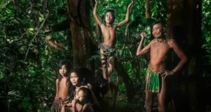 Peran Suku Anak Dalam sebagai Penjaga Hutan Rimba Peran Suku Anak Dalam sebagai Penjaga Hutan (Unews.id)