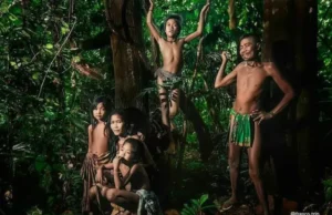 Peran Suku Anak Dalam sebagai Penjaga Hutan Rimba Peran Suku Anak Dalam sebagai Penjaga Hutan (Unews.id)