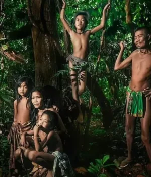 Peran Suku Anak Dalam sebagai Penjaga Hutan Rimba Peran Suku Anak Dalam sebagai Penjaga Hutan (Unews.id)