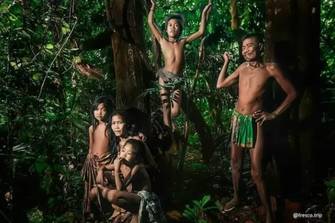 Peran Suku Anak Dalam sebagai Penjaga Hutan Rimba Peran Suku Anak Dalam sebagai Penjaga Hutan (Unews.id)