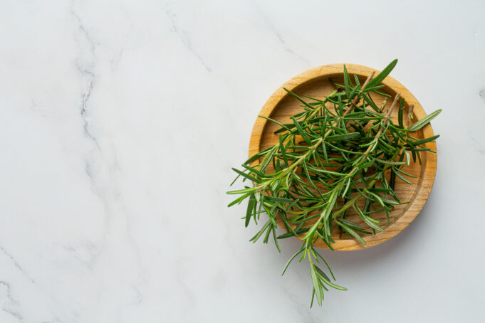 Urban Gardening di Dapur untuk Hunian Kecil dan Estetik Rosemary dapat digunakan sebagai tanaman urban gardening. (Sumber: Freepik)