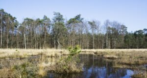 Strategi Pemulihan Ekosistem Lahan Gambut Nasional Strategi Pemulihan Ekosistem Lahan Gambut Nasional