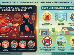 Bahaya Gas CO Bagi Manusia dan Cara Menguranginya Bahaya Gas CO Bagi Manusia dan Cara Menguranginya