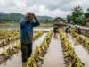 Fenomena Kemarau Basah: Mengapa Hujan Turun di Musim Kering dan Bagaimana Nasib Petani? Fenomena Kemarau Basah (Dok. Istimewa)